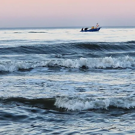 Wydmy Wiatr * Rozewie