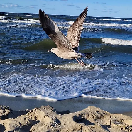 בית נופש Wydmy Wiatr Rozewie