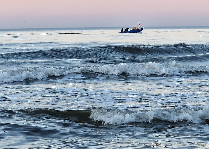 Wydmy Wiatr * Rozewie