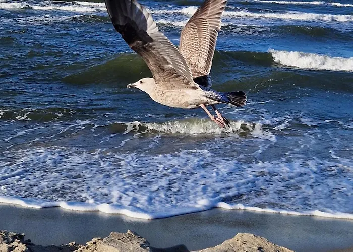 Сasa de vacaciones Wydmy Wiatr Rozewie